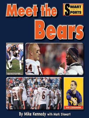 cover image of Meet the Bears